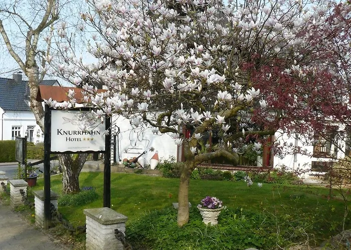 Strandnah An Der Foerde *